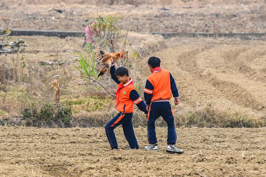 从操场到田野，新学期体育课的新玩法