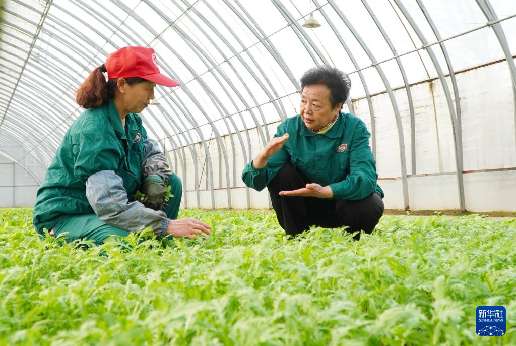 总书记的嘱托激励我们一路向前——来自全国两会代表委员的心声