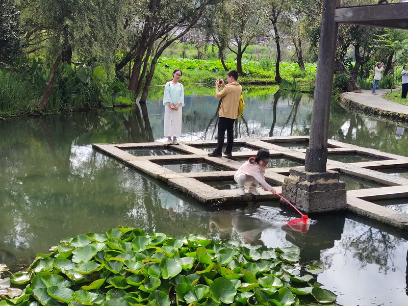 綠水青山引客來: 一座600年古鎮(zhèn)的生態(tài)實(shí)踐