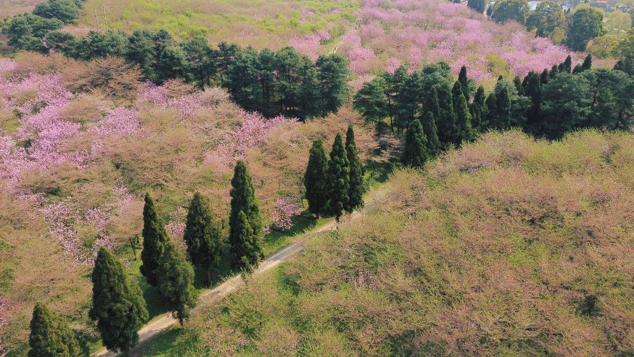 一起深呼吸～這些“天然氧吧”哪個最讓你心動？