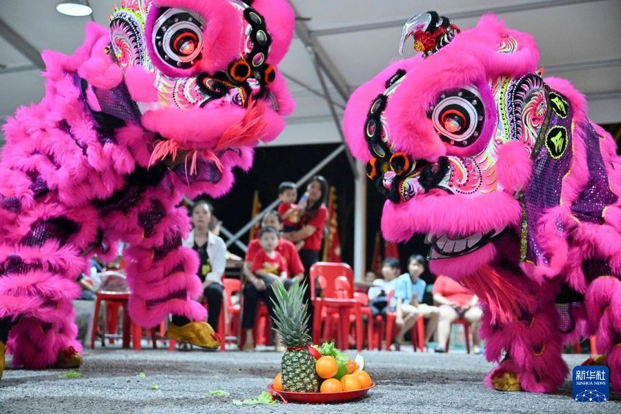 9月13日，在馬來西亞雪蘭莪州的萬饒，永駿醒獅團(tuán)成員進(jìn)行舞獅表演。新華社記者 程一恒 攝