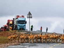 青藏公路上的生命礼赞