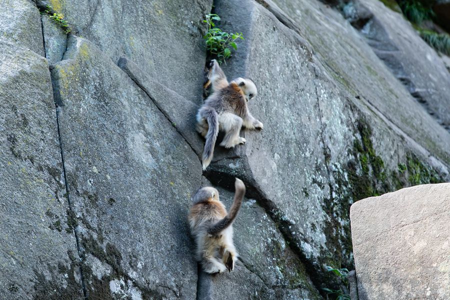 國家公園有多美，一起去看看！