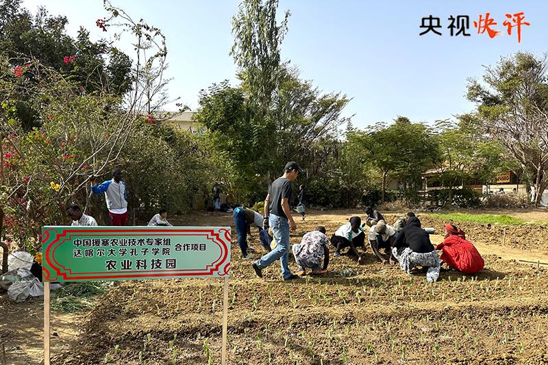 央視快評丨攜手推進(jìn)現(xiàn)代化 共筑命運(yùn)共同體