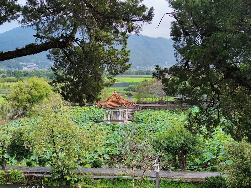 綠水青山引客來: 一座600年古鎮(zhèn)的生態(tài)實踐