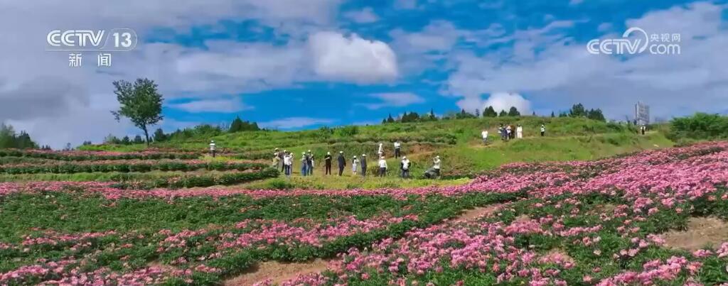 讓“網紅”變“長紅”、“流量”成“留量” 各地打造特色文旅IP喜迎出游熱潮