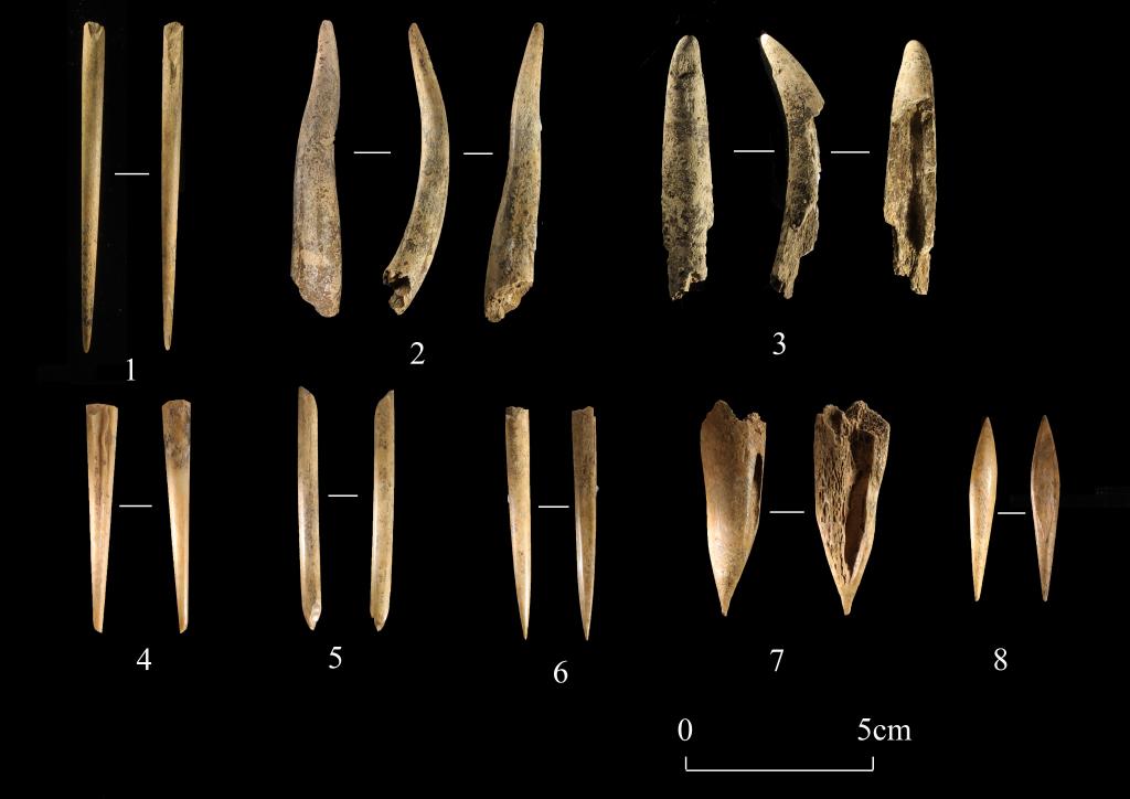 天津首次發(fā)現(xiàn)舊、新石器時代過渡遺存