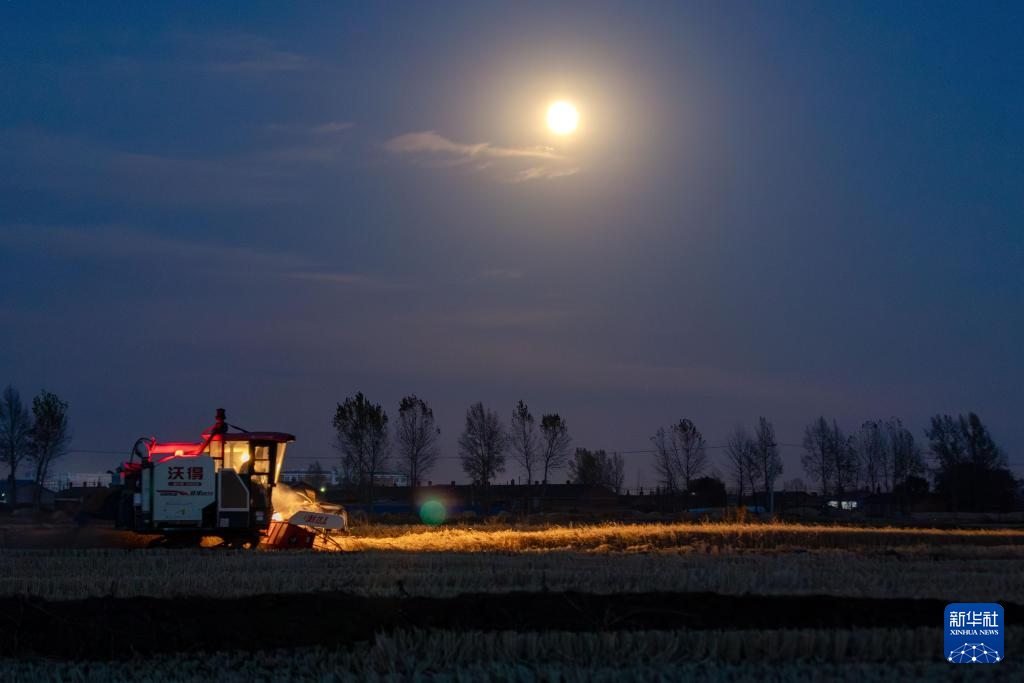 年度最大滿月現(xiàn)身夜空