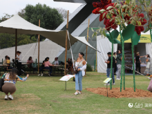 墨西哥城第五届波兰科花卉花园节盛大开幕