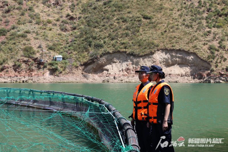 新疆冰鮮三文魚(yú)首次出口