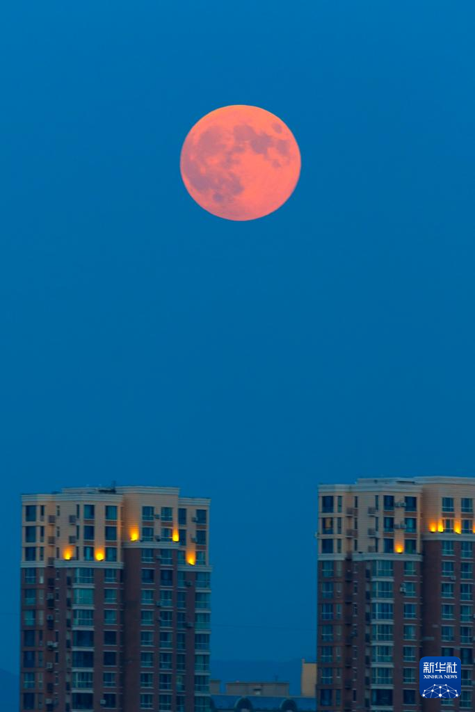 年度最大滿月現(xiàn)身夜空