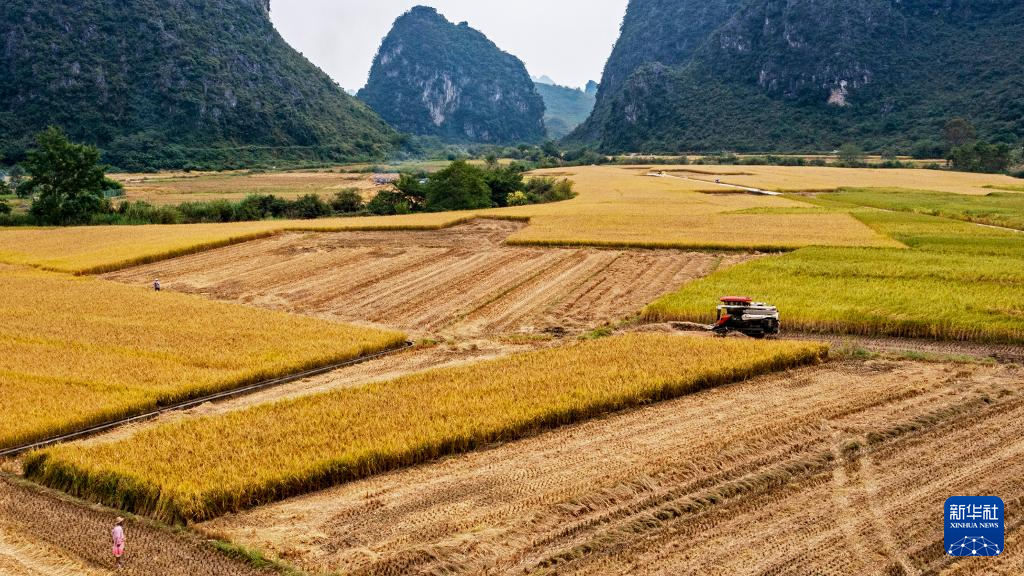 金秋好“豐”景