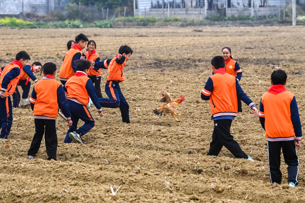 从操场到田野，新学期体育课的新玩法