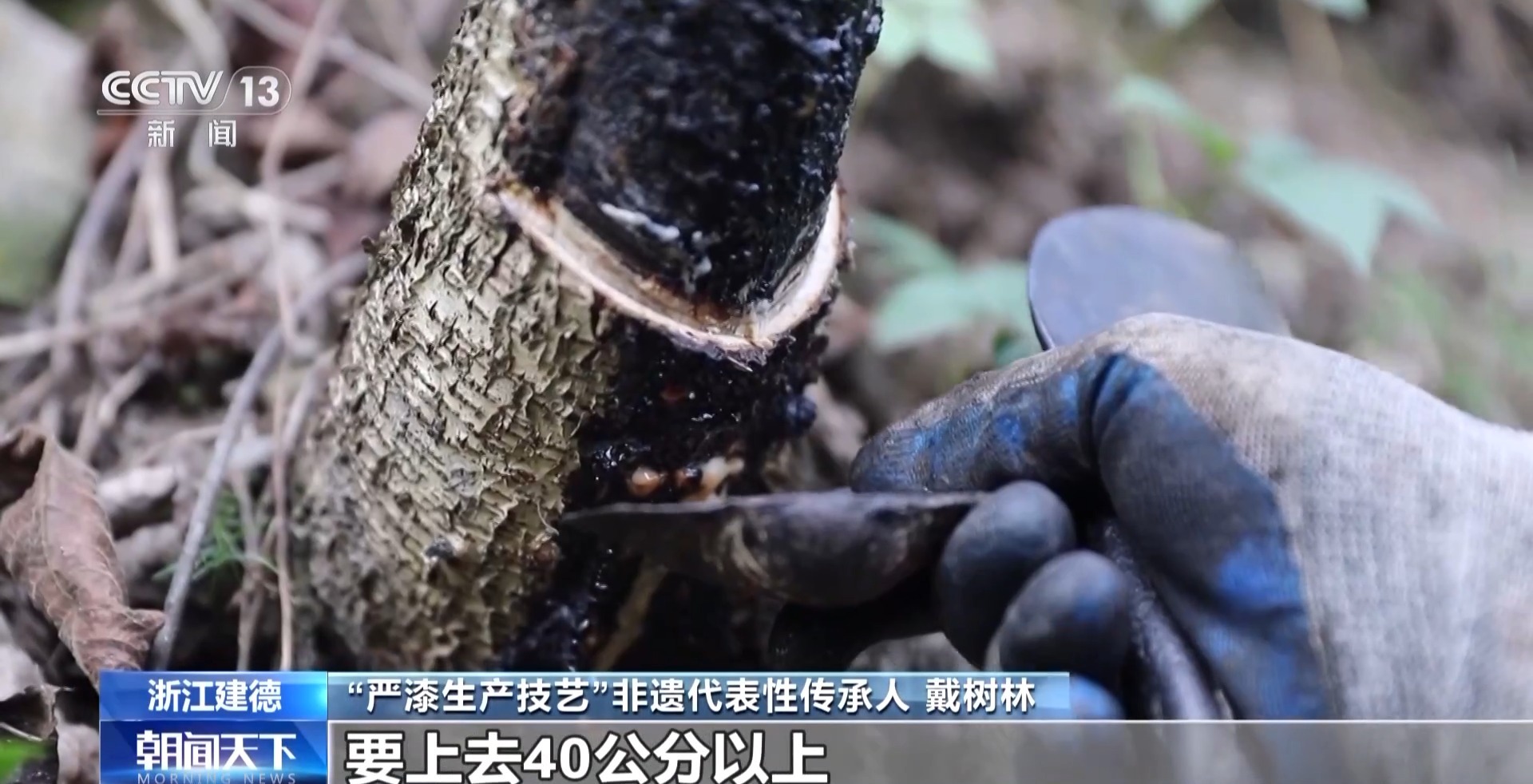 非遗的现代“漆”迹 严漆重绽家居新魅力