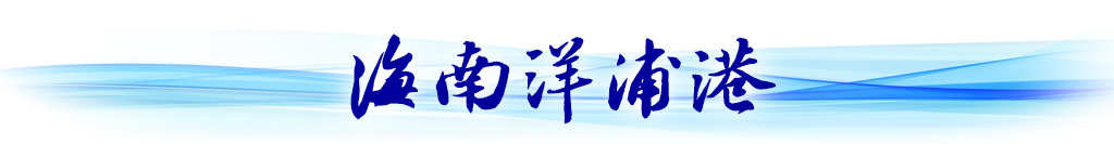 循著總書記關(guān)切，看西部陸海新通道建設(shè)新貌