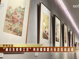 【海峽兩岸】融合發(fā)展看江蘇” 兩岸媒體聯(lián)合采訪(fǎng)活動(dòng)啟動(dòng)