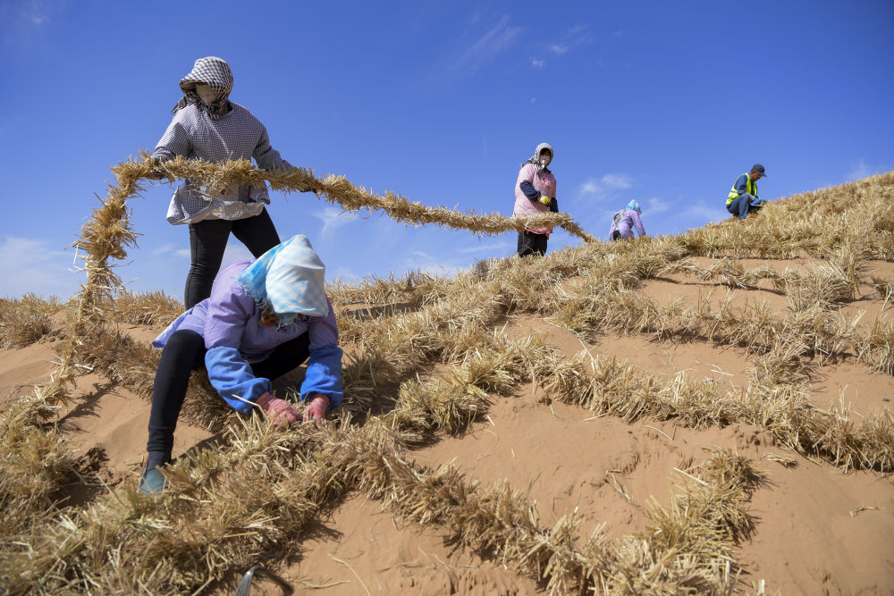 共繪美麗中國新畫卷——寫在2024年全國生態(tài)日到來之際