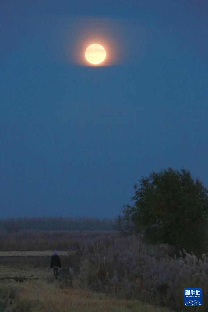 年度最大滿月現(xiàn)身夜空