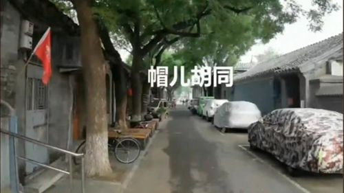 臺(tái)青逛胡同 覓地道“北京味兒”