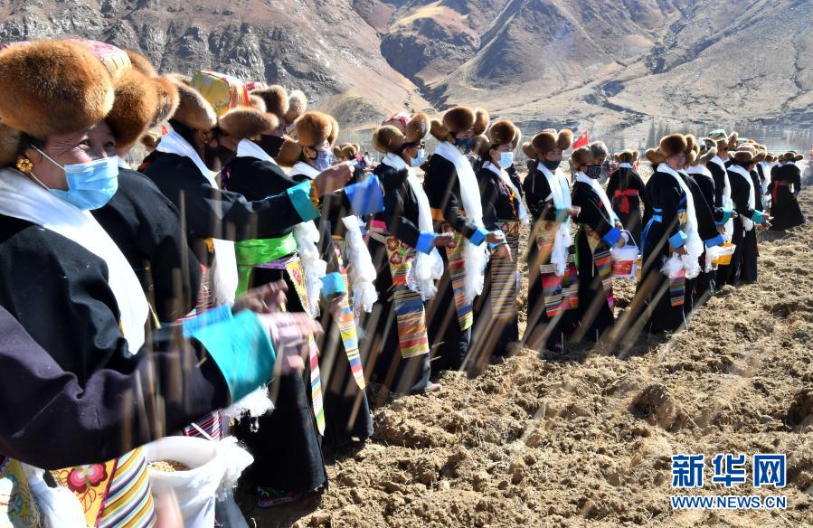 3月16日，西藏拉薩市達(dá)孜區(qū)塔杰鄉(xiāng)婦女在播撒種子。新華社記者 覺(jué)果 攝