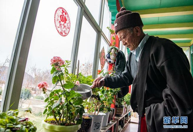 昂旺尼瑪在家中給花草澆水（2月18日攝）。