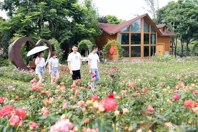 端午节假期国内旅游出游超8913万人次