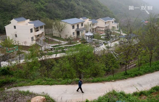 鉴往知来：总书记来到秦岭，关注山清水秀有深意