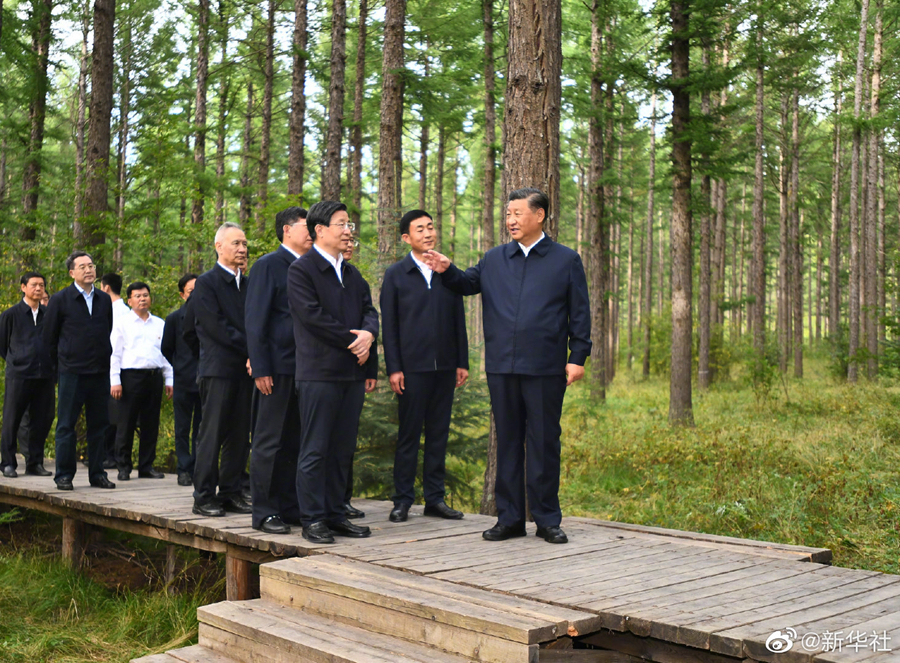 习近平：发扬塞罕坝精神，在新征程上再建功立业