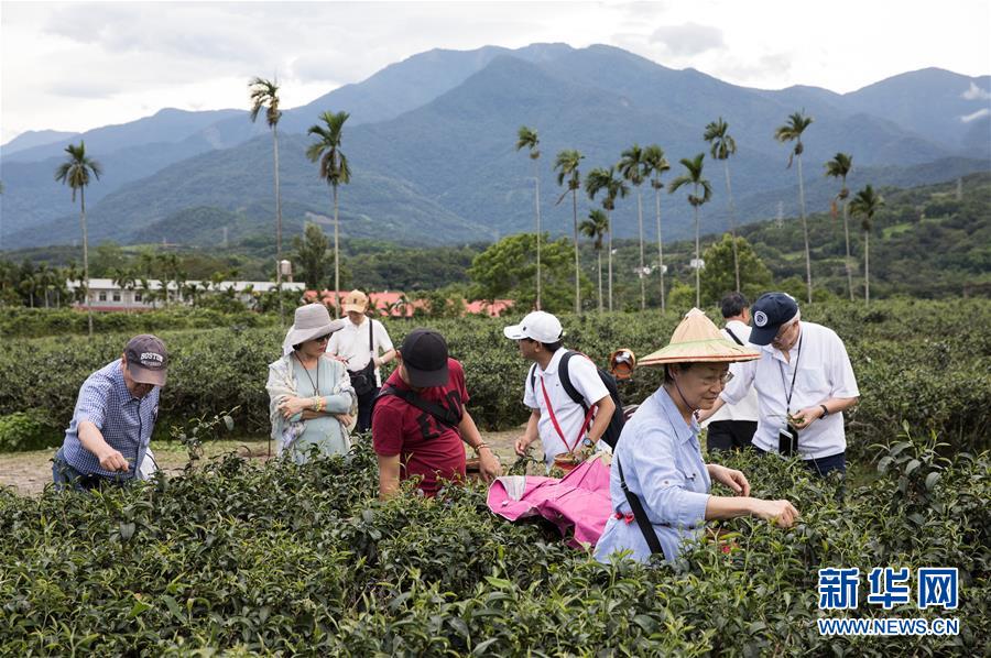 特寫：疫情趨緩 花蓮旅游期待轉(zhuǎn)機(jī)