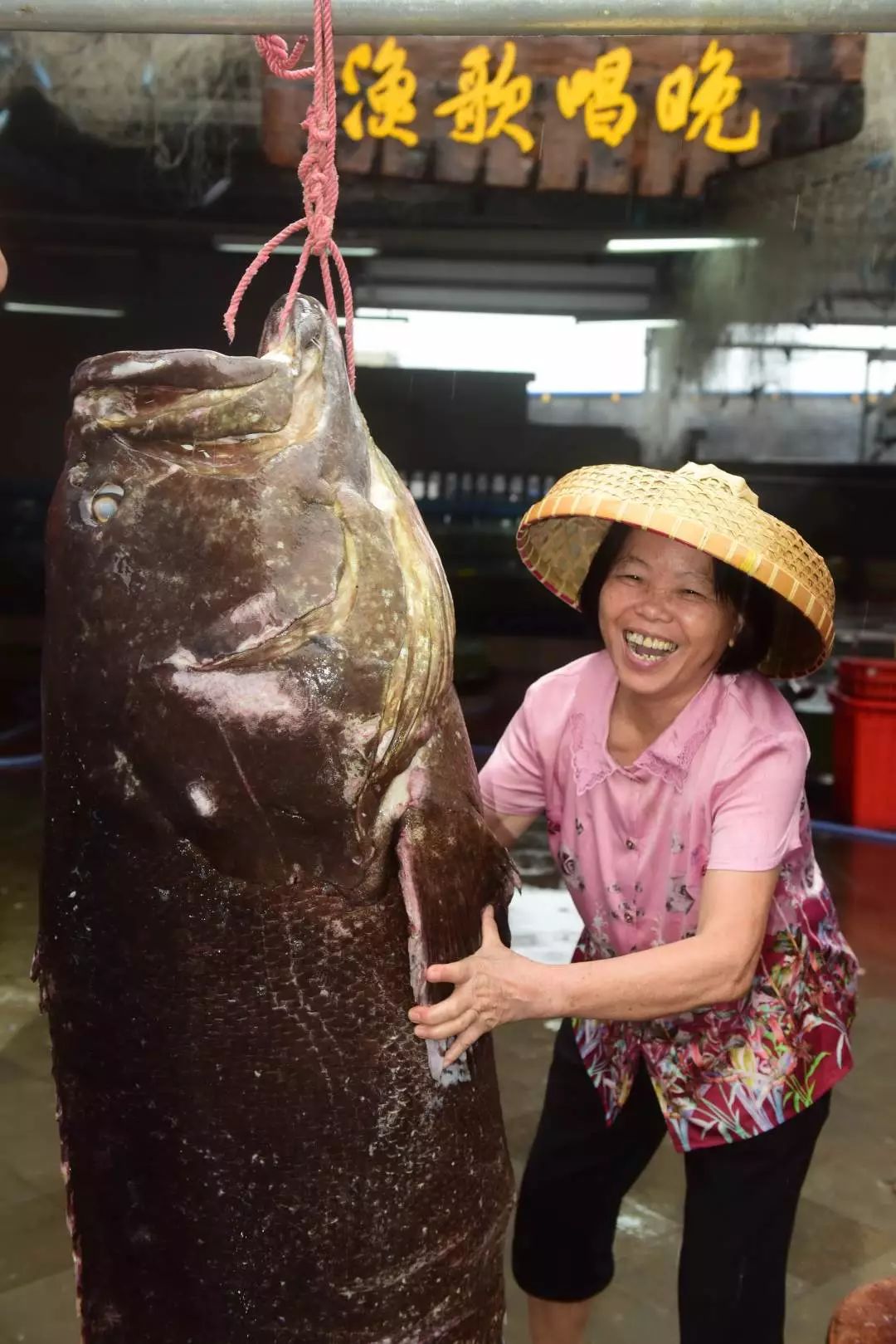 《中国（海南）自由贸易试验区总体方案》今天正式公布