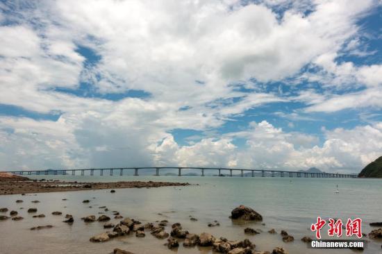 港珠澳大桥增进大湾区城市互联 香港创科界冀优势互补共发展