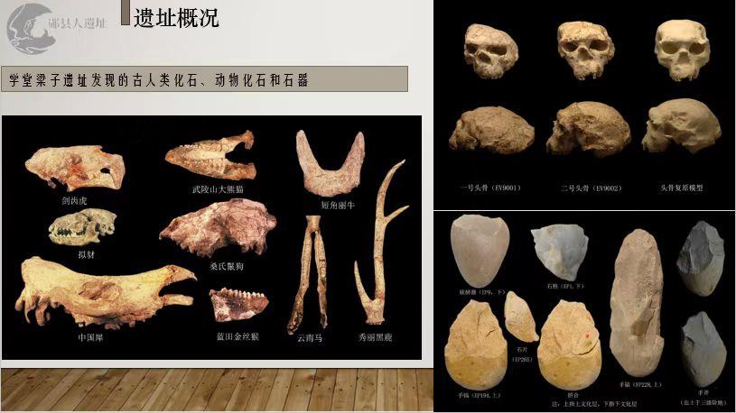 国家文物局：距今百万年头骨化石实证中国百万年人类史