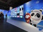 “共筑夢想 同赴未來——華僑華人與冬奧主題展”在京開幕