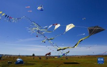 加拿大里士满举行环太平洋风筝节