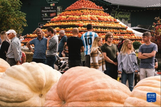 9月12日，人们在德国洛马尔传统南瓜节上参观。新华社发（唐颖 摄）