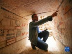 埃及塞加拉新發現5座距今4000余年的墓葬