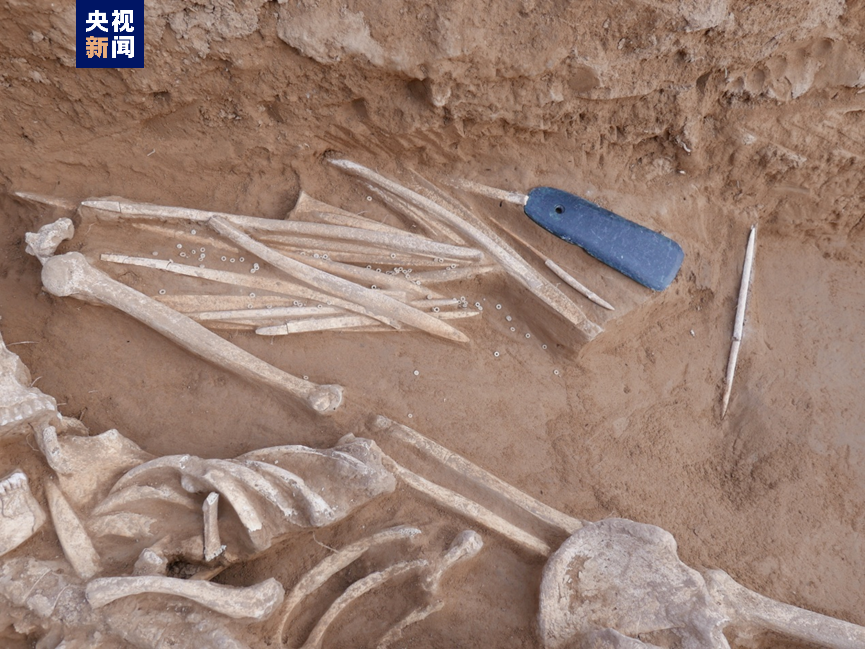 陕西发现仰韶晚期大型环壕和成人墓地