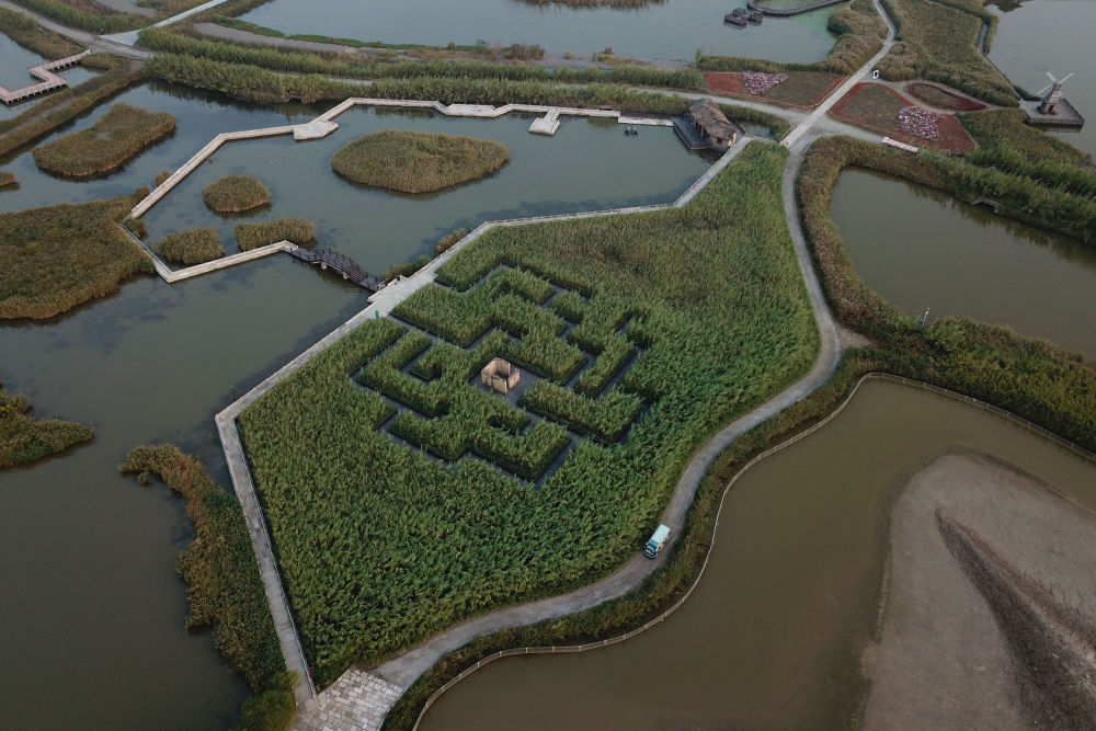 在杭州，走進(jìn)亞運(yùn)之城的生態(tài)畫(huà)卷