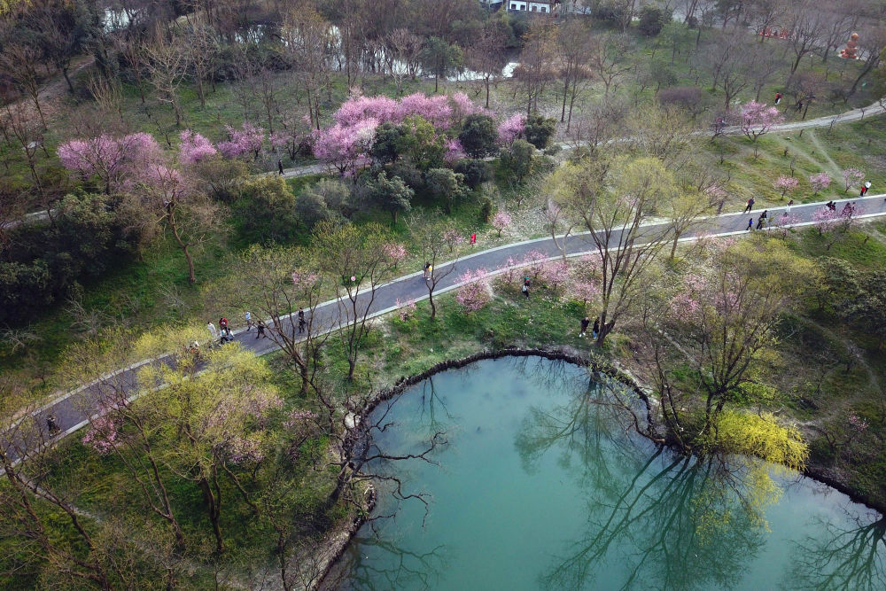 在杭州，走進(jìn)亞運(yùn)之城的生態(tài)畫卷