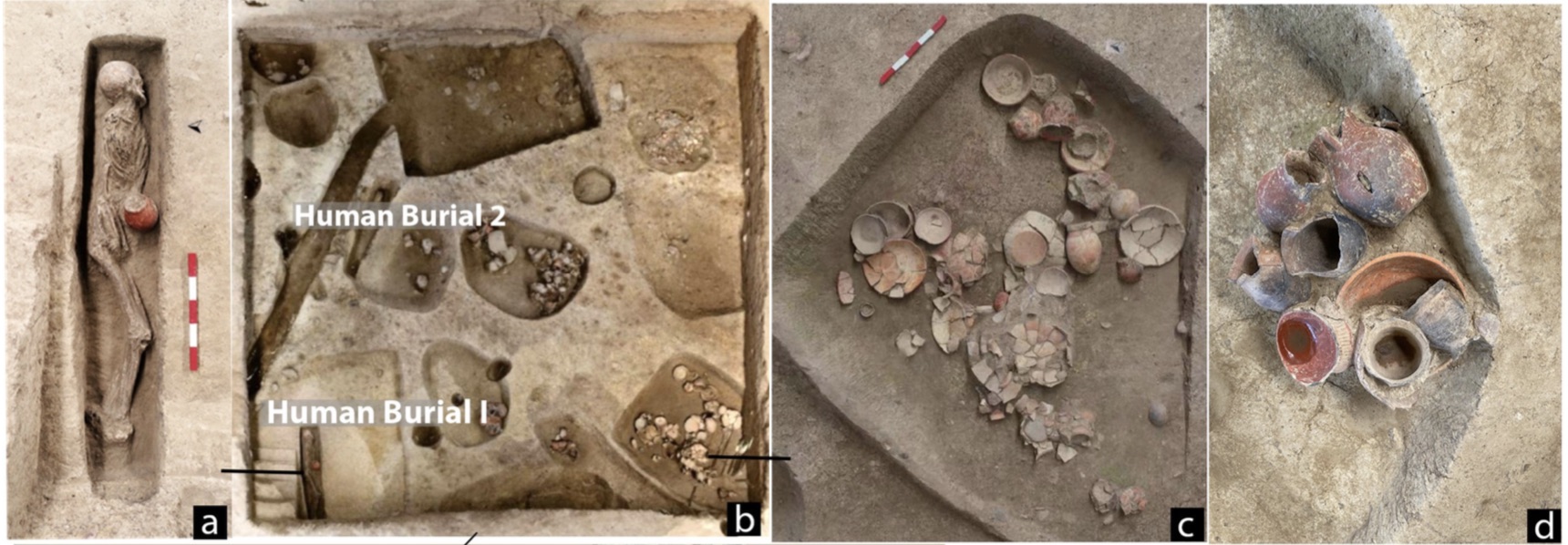 中国考古学家在桥头遗址中发现9000年前南方人喝啤酒证据