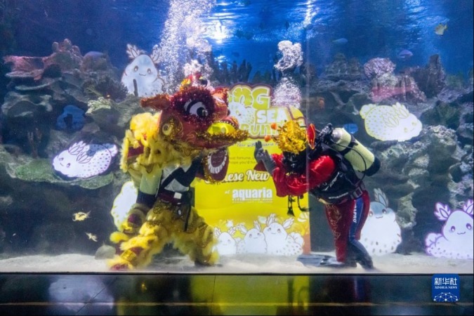1月18日，潜水员在马来西亚吉隆坡城中城水族馆进行水中舞狮和“财神”拜年表演。新华社记者 朱炜 摄