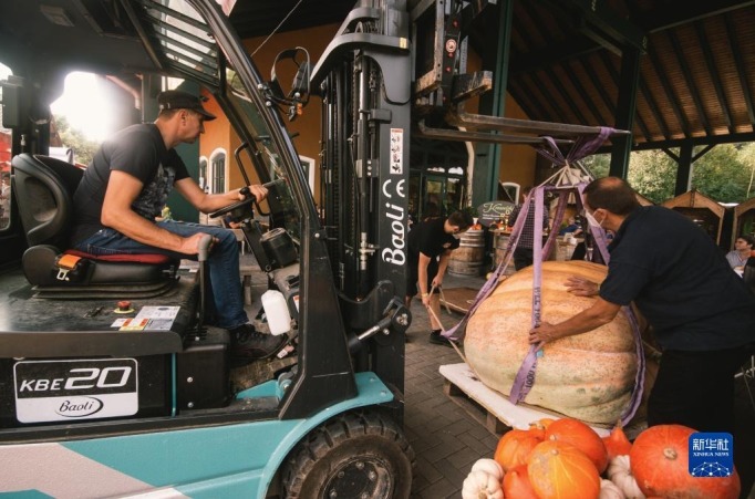 9月12日，在德国洛马尔传统南瓜节上，工作人员用铲车给一个南瓜称重。新华社发（唐颖 摄）