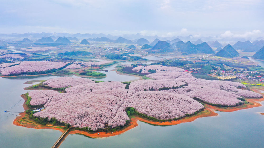 高原觀“海”滿眼春——從生態(tài)產(chǎn)業(yè)看貴州高質(zhì)量發(fā)展