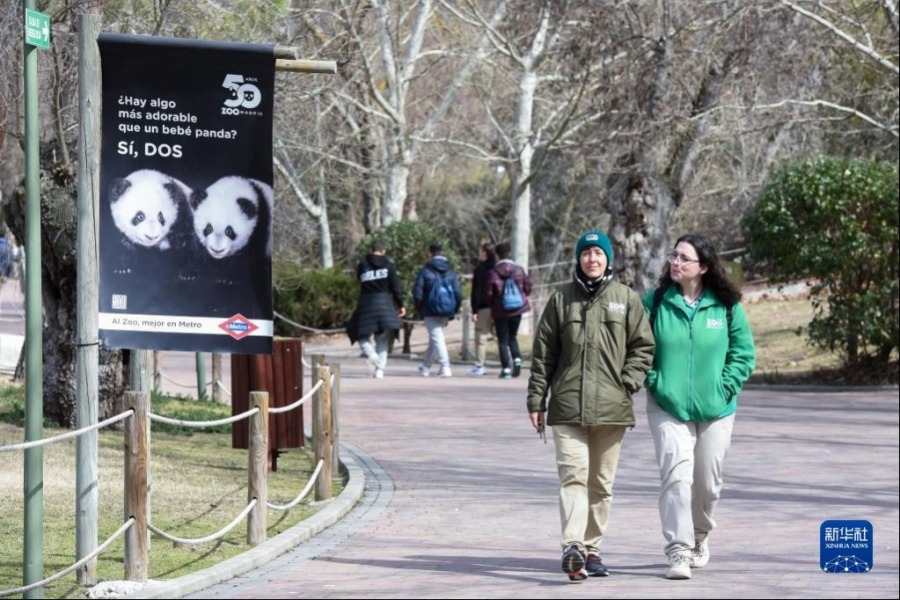 3月7日，人们经过西班牙马德里动物园内的大熊猫双胞胎海报。新华社发（古斯塔沃·巴连特摄）