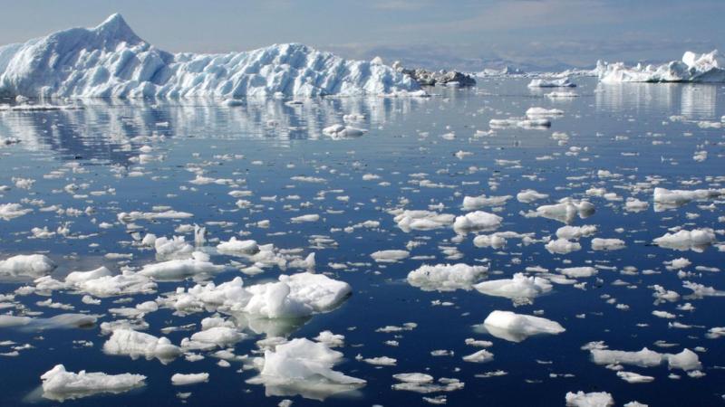 最新科学发现揭示：三亿年前的巨量碳排放导致海洋缺氧和生物多样性显著下降