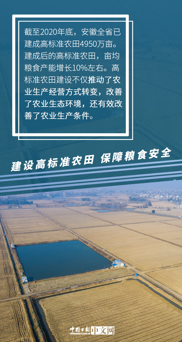 【图说中国经济】推进高标准农田建设 夯实粮食安全基础