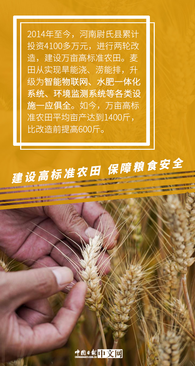 【图说中国经济】推进高标准农田建设 夯实粮食安全基础