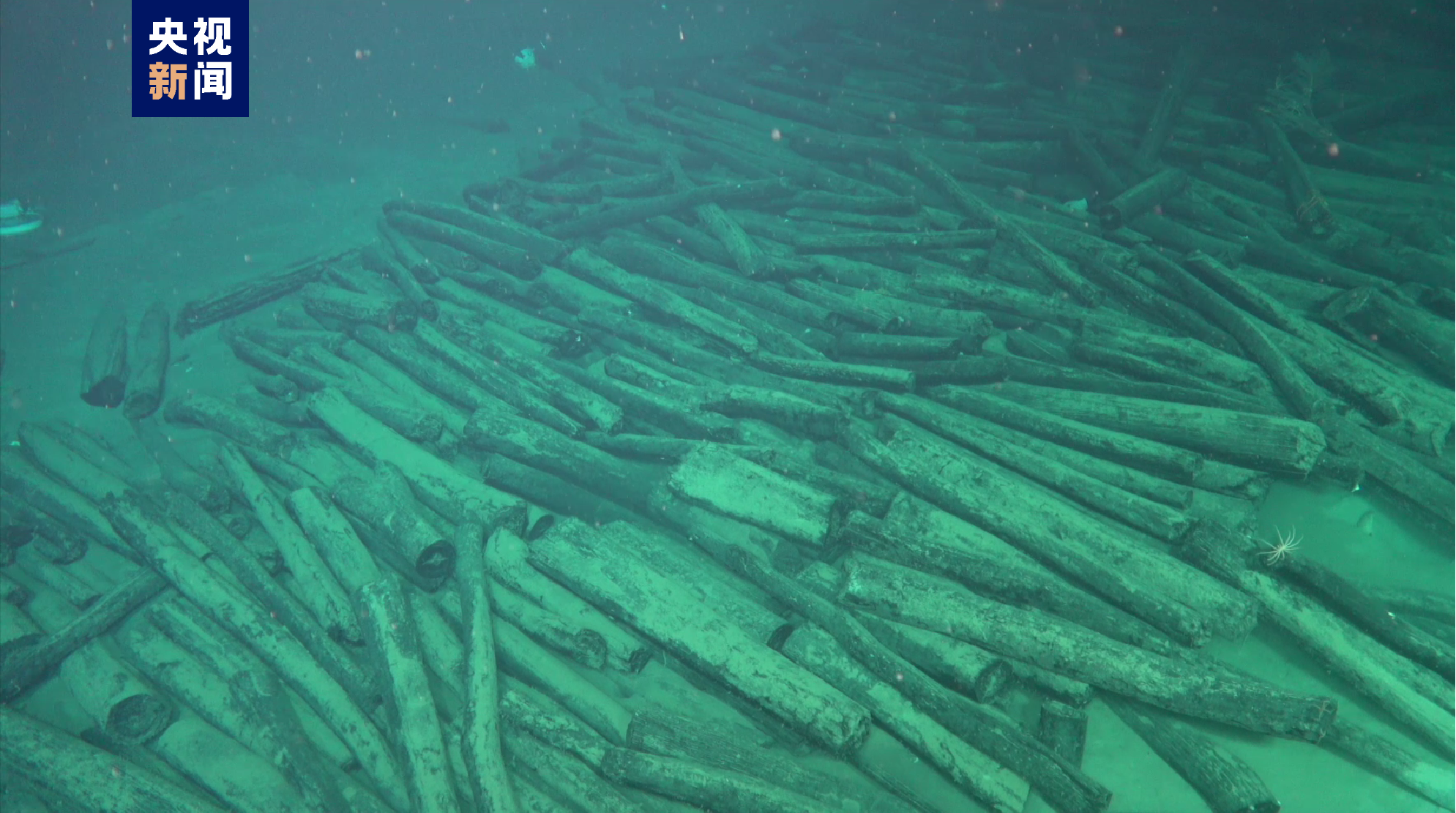 4K影像记录丨水下千米级深度沉船遗址布放永久测绘基点 载人潜水器深入拍摄