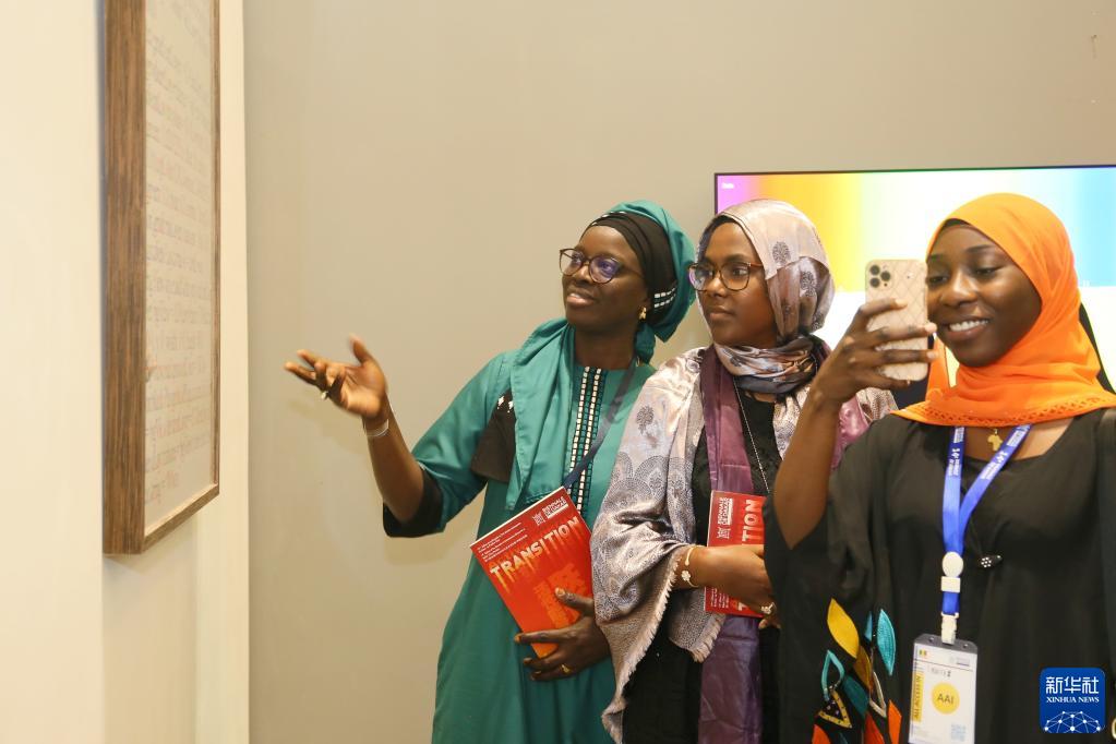 达喀尔非洲当代艺术双年展开幕 中国首次作为主宾国参展