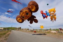 五彩缤纷扮靓天空！俄罗斯圣彼得堡举行风筝节